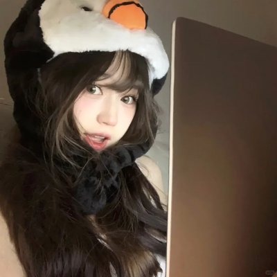 小迪克西